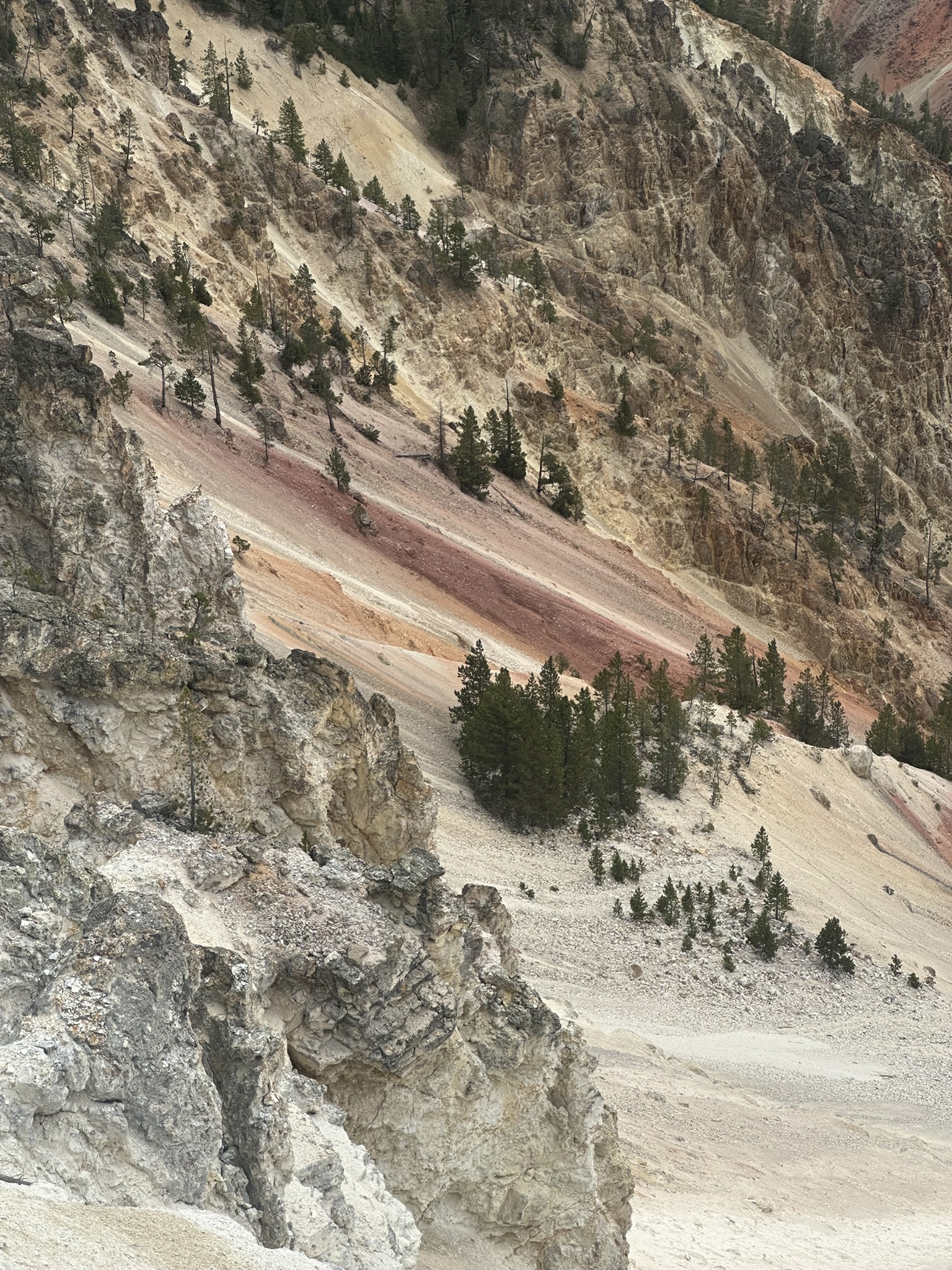 Yellowstone And Grand Teton National Parks - Image 630